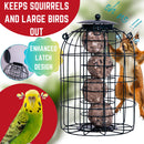 Wild Bird Fat Ball Feeder with Squirrel Guard