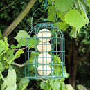 Wild Bird Fat Ball Feeder with Squirrel Guard