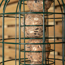 Wild Bird Fat Ball Feeder with Squirrel Guard