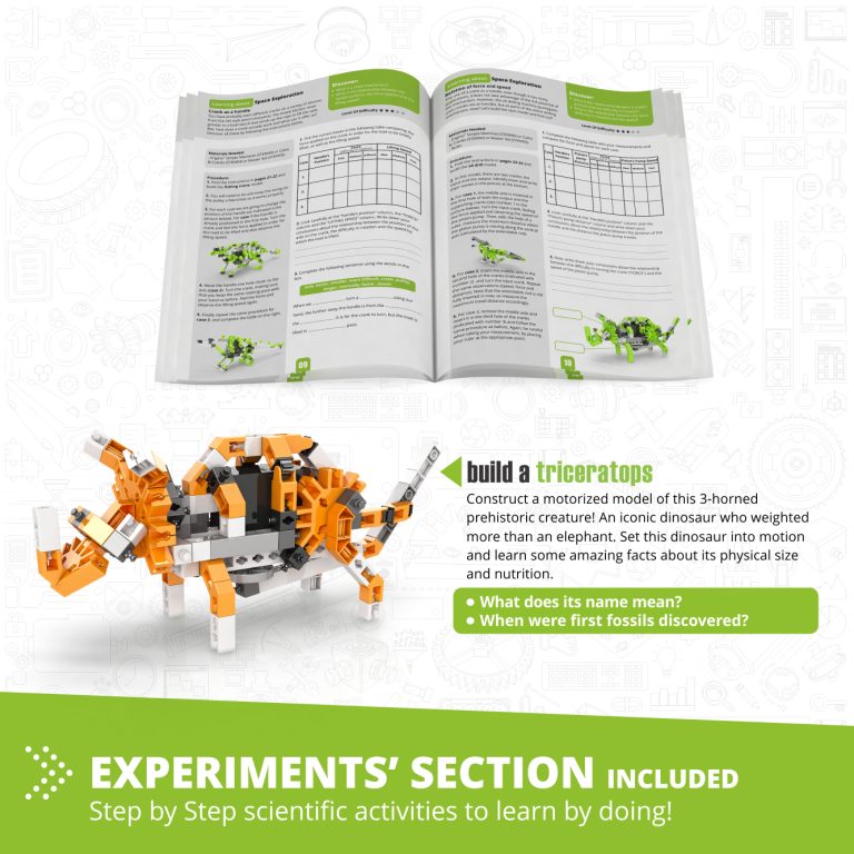 Stem Paleontology Learning About Dinosaurs