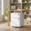 HOMCOM 2 Drawer Filing Cabinet with Adjustable Hanging Bars for A4 and Letter