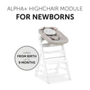 Hauck Alpha Bouncer 2 in 1 - Powder Bunny - Beige Bloom