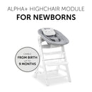 Hauck Alpha Bouncer 2 in 1 - Pastel Bear - Light Grey