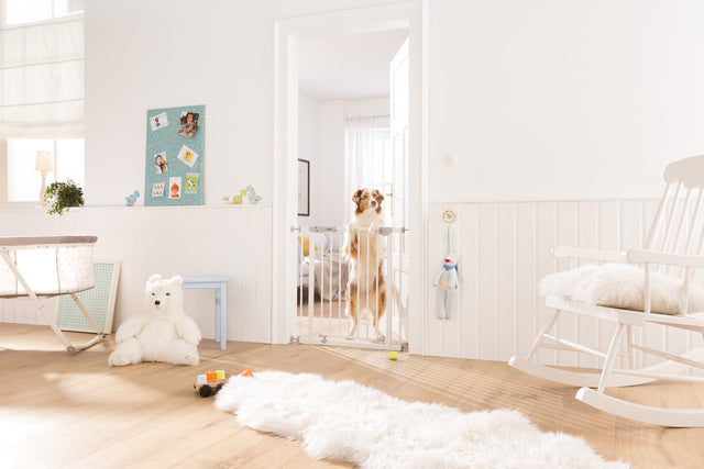 Hauck Autoclose N Stop Safety Gate - White