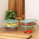 Everyday Set Of 4 1L Food Boxes
