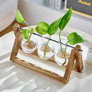 Lifeideas Modern 3pcs Bulb Glass Terrariums with Wood Stand Set
