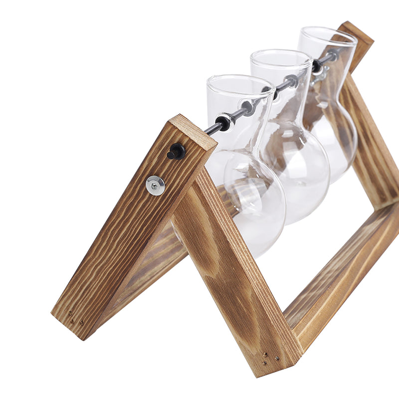 Lifeideas Modern 3pcs Bulb Glass Terrariums with Wood Stand Set