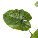 Lifeideas Artificial Tropical Plant with Pot