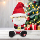 Dancing Santa Claus with Music