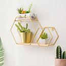 Livingandhome Honeycomb Modern Hexagonal 2 Tier Wall Floating Shelf