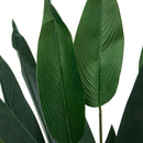 Lifeideas Artificial Plant Bird of Paradise for Home Decoration