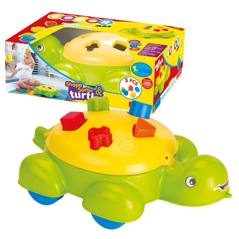 Turtle Shape Sorter 5 Pcs