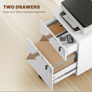HOMCOM 2 Drawer Filing Cabinet with Adjustable Hanging Bars for A4 and Letter
