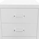 Livingandhome Vertical File Cabinet With Wheels,