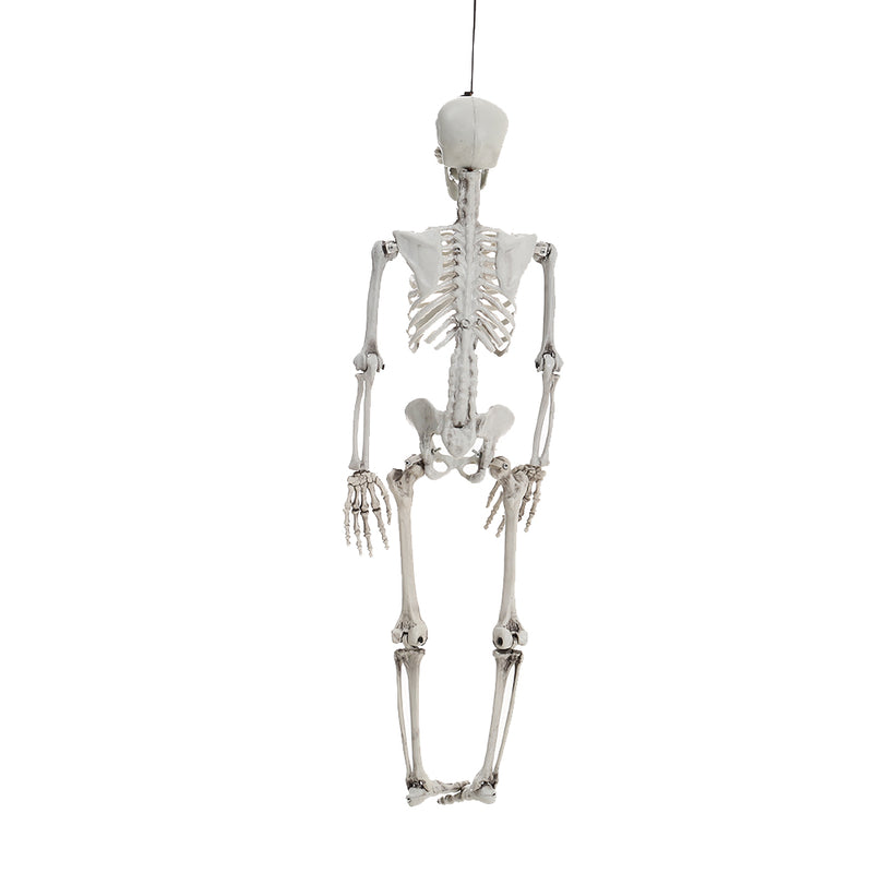 Halloween Realistic Full Body Skeleton Prop Decoration Posable Joints