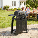 Outsunny 2 Burner Gas Grill, 3.8 KW Barbecue Grill With Cast Iron Grates