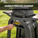 Outsunny 2 Burner Gas Grill, 3.8 KW Barbecue Grill With Cast Iron Grates
