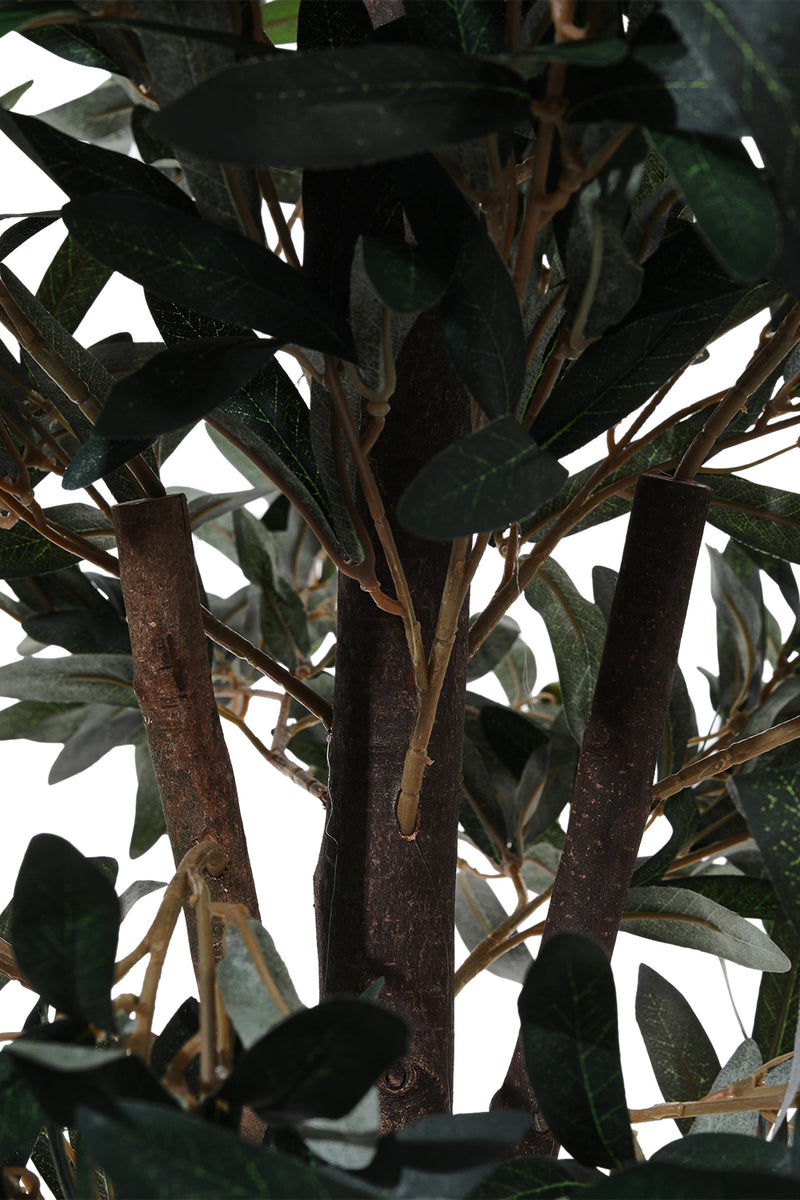 Breeins Artificial Olive Tree Decorative Plant in Planter
