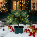 Lifeideas Pack of 2 Artificial Christmas Tree Urn Filler Decoration with String Lights