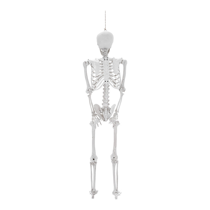Poseable Skeleton Props for Halloween Party Decoration
