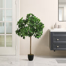 Breeins Schefflera Arboricola Tree in Pot for Decoration