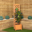 1.6m Samuel Alexander Natural Wooden Freestanding Garden Trellis with Raised Bed Planter