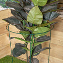 Tom Chambers Urban Metal Herbaceous Garden Plant Support Ring Large 40cm x 60cm