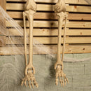 5ft (150cm) Posable Full Body Halloween LED Skeleton Decoration with Movable Joints and LED Eyes