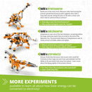 Stem Paleontology Learning About Dinosaurs