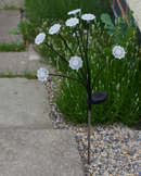 8 Stem Flora Lights