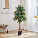 Breeins Artificial Olive Tree Decorative Plant In Planter