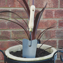 Wooden Handled Trowel