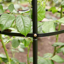 Metal Garden Obelisk