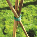 20pk 60cm Bamboo Canes