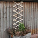 Garden Trellis 6ft X 1ft