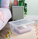 45L Crystal Box With Lid