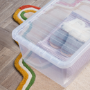 45L Crystal Box With Lid