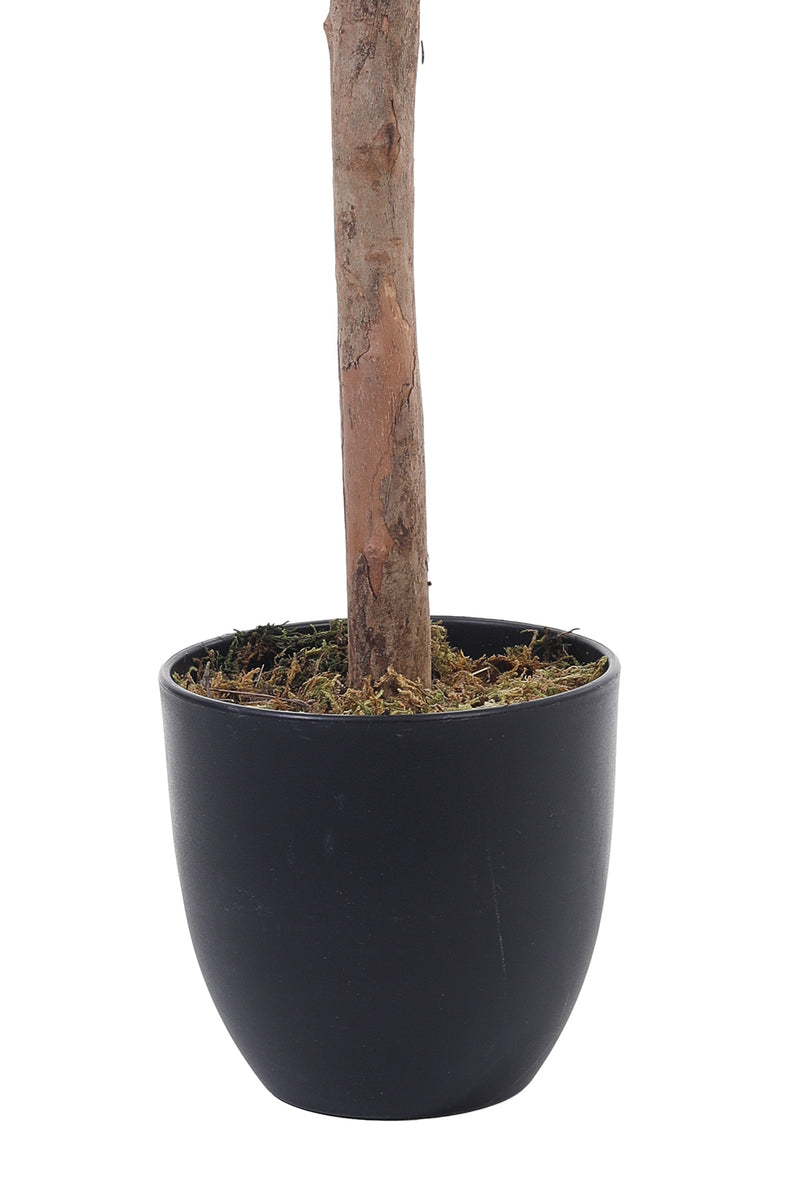 Breeins Artificial Olive Tree Decorative Plant in Planter