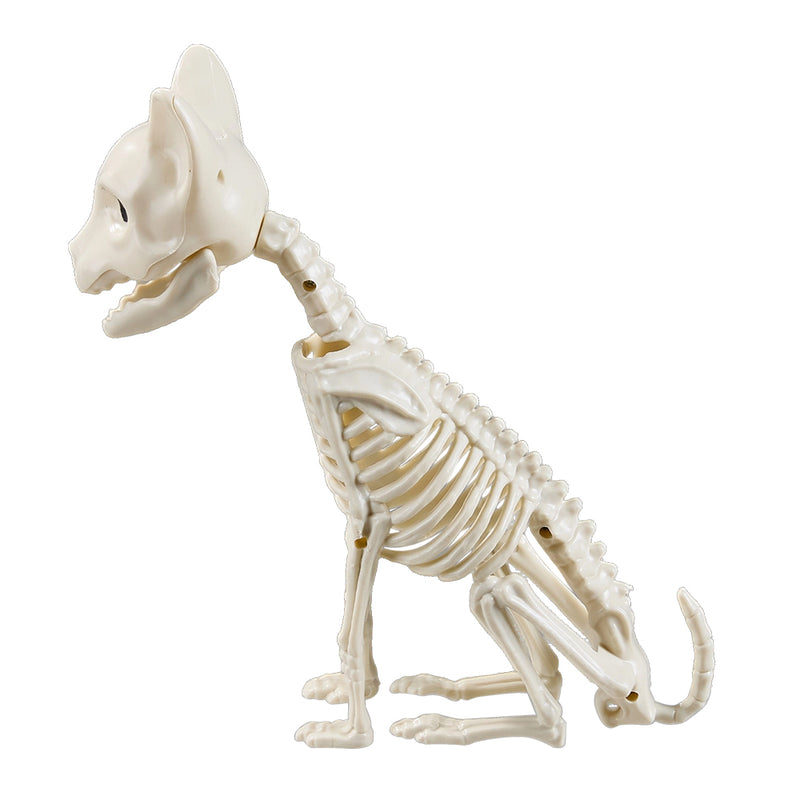 Spooky Halloween Cat Skeleton