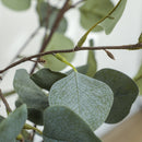 HOMCOM 2 Pack Artificial Plants, Faux Silk Eucalyptus Trees, 120cm