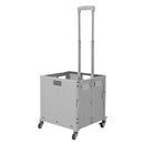 Breeins Foldable Shopping Trolley With Wheels