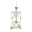 Posable Full Body Skeleton Prop