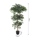 Breeins Artificial Zamioculcas Decorative Plant In Planter