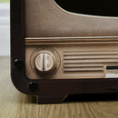 PawHut TV Shape Cat Scratching Board with Catnip, for Indoor Cats, Brown