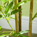 Artificial Plant Bamboo Artificial Tree Height 120 cm with Pot