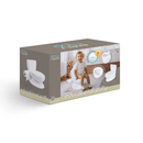 Educational Potty