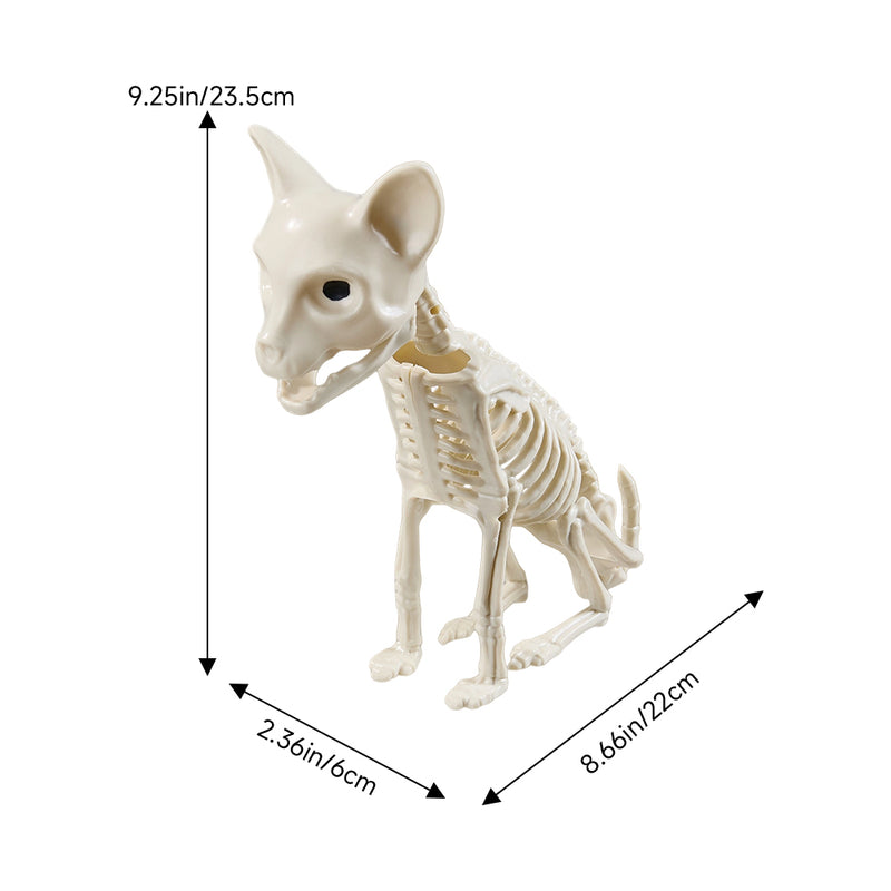 Spooky Halloween Cat Skeleton