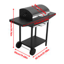 Outdoor Garden Charcoal Grill