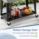 75 L Portable Patio Rolling Ice Chest with Bottom Storage Shelf-Grey