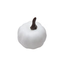 Assorted Halloween Plastic Leaves Pumpkins Set